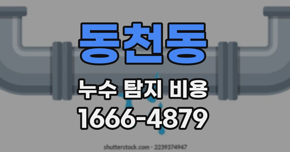 동천동 누수 탐지 비용