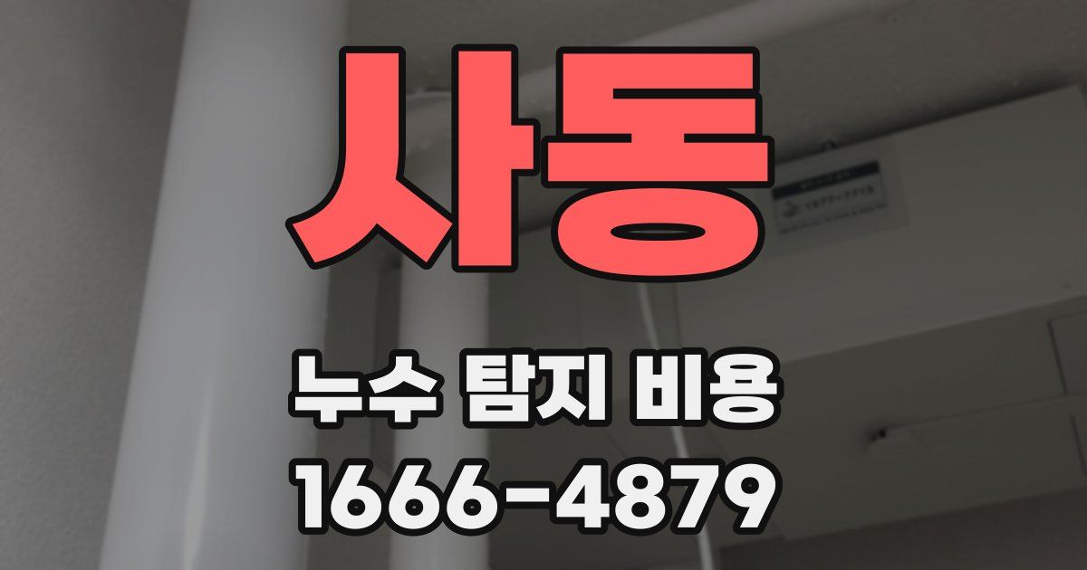 사동 누수 탐지 비용