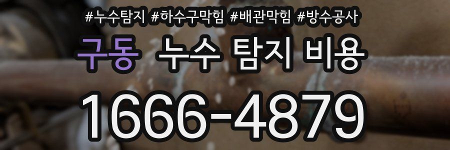 구동 누수 탐지 비용