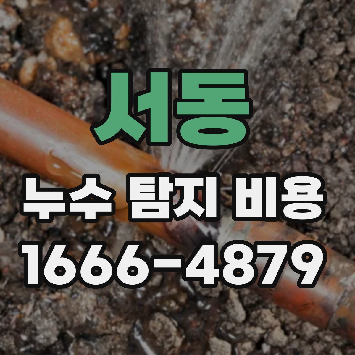 서동 누수 탐지 비용