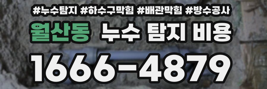 월산동 누수 탐지 비용