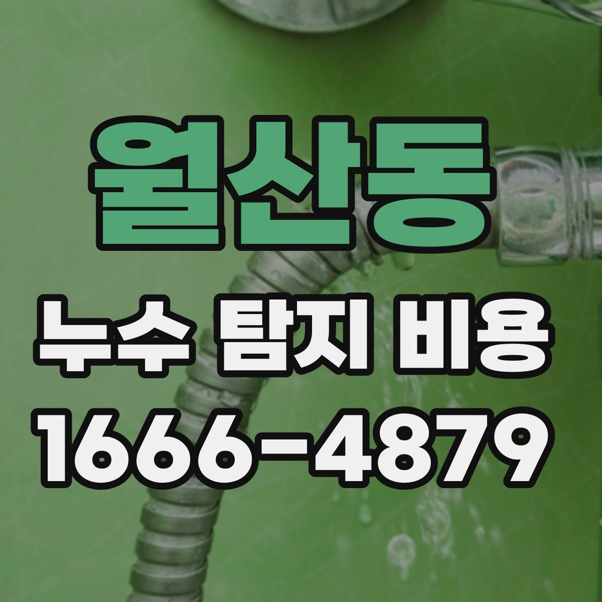 월산동 누수 탐지 비용