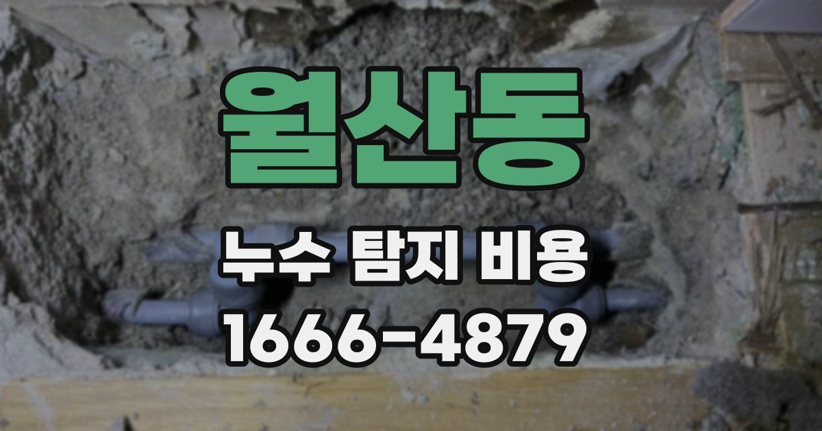월산동 누수 탐지 비용