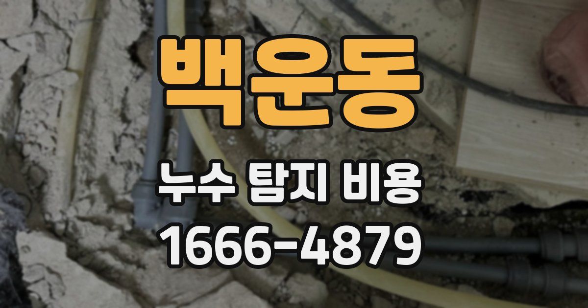백운동 누수 탐지 비용