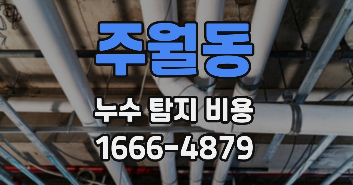 주월동 누수 탐지 비용