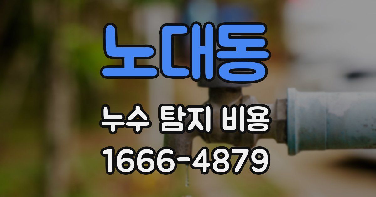 노대동 누수 탐지 비용