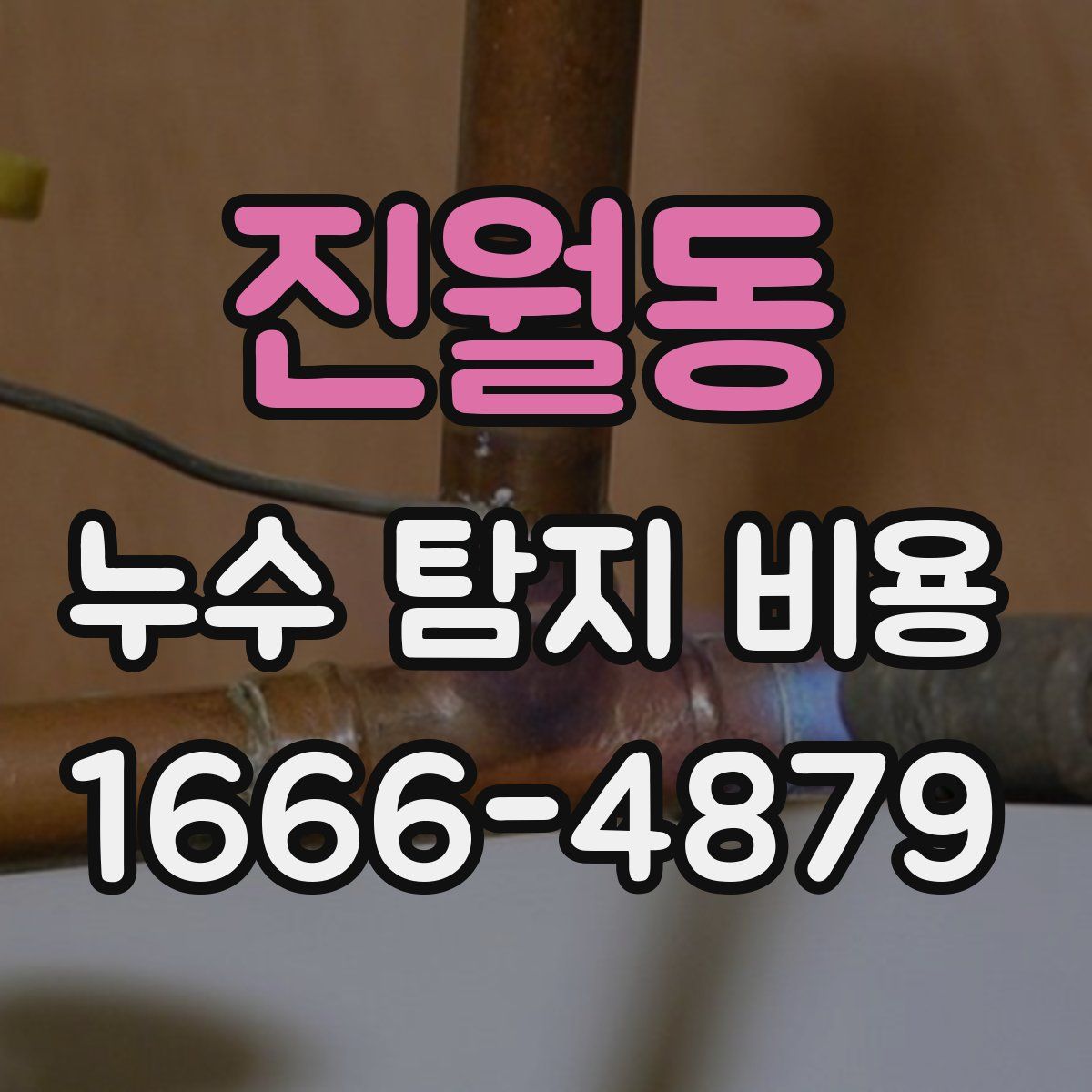 진월동 누수 탐지 비용