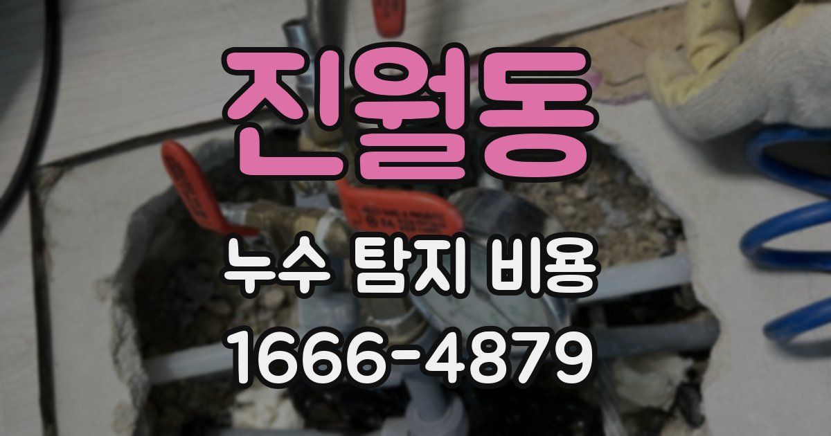 진월동 누수 탐지 비용