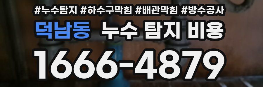 덕남동 누수 탐지 비용