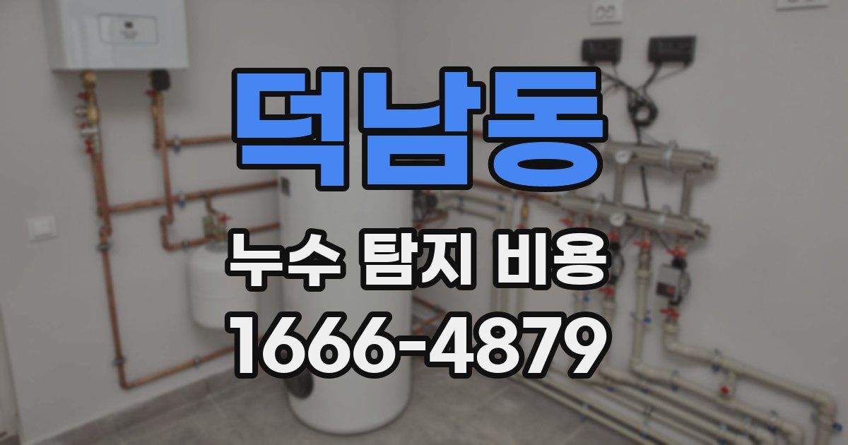 덕남동 누수 탐지 비용