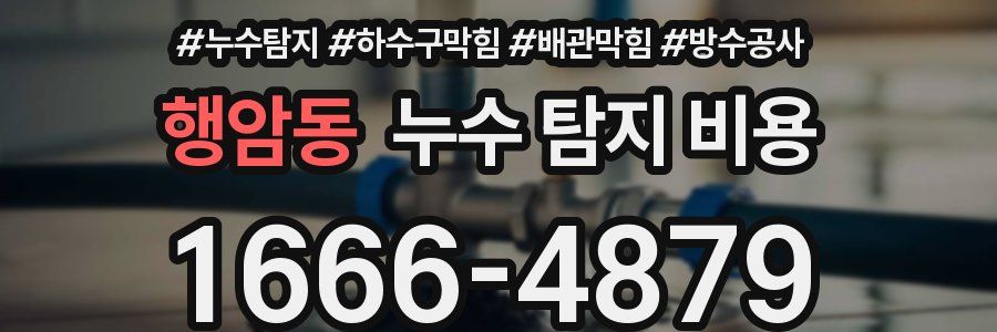 행암동 누수 탐지 비용