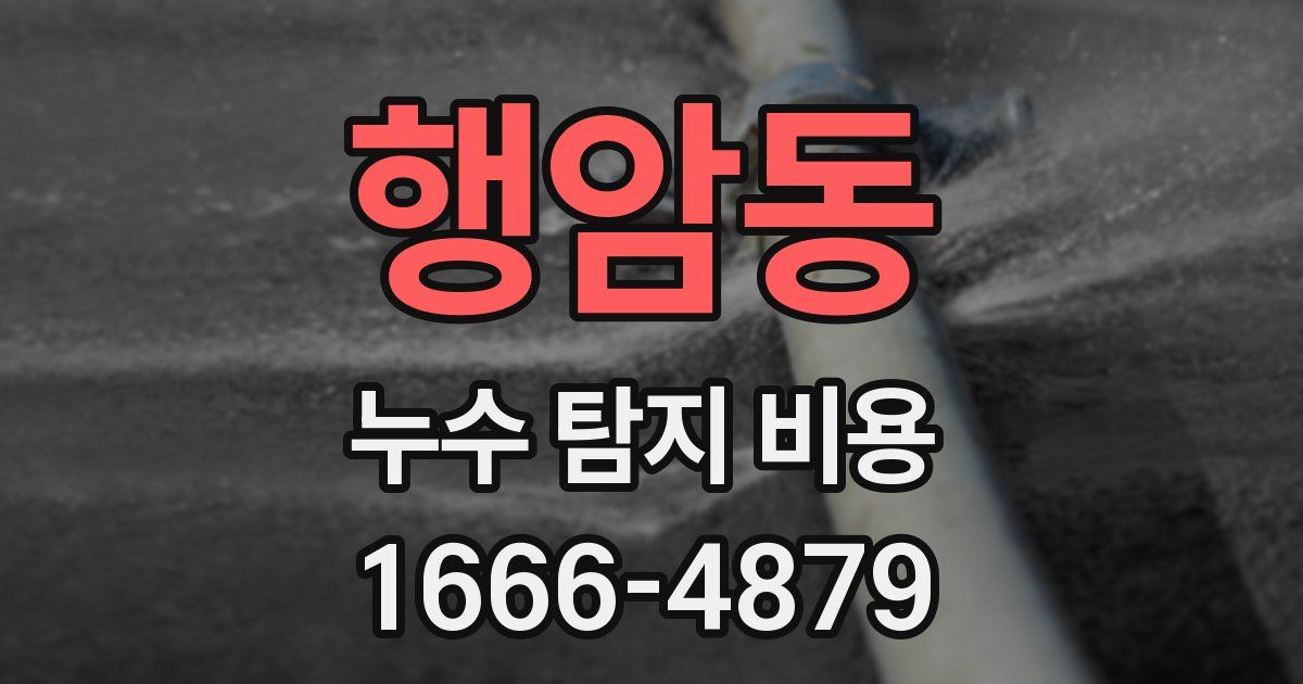 행암동 누수 탐지 비용