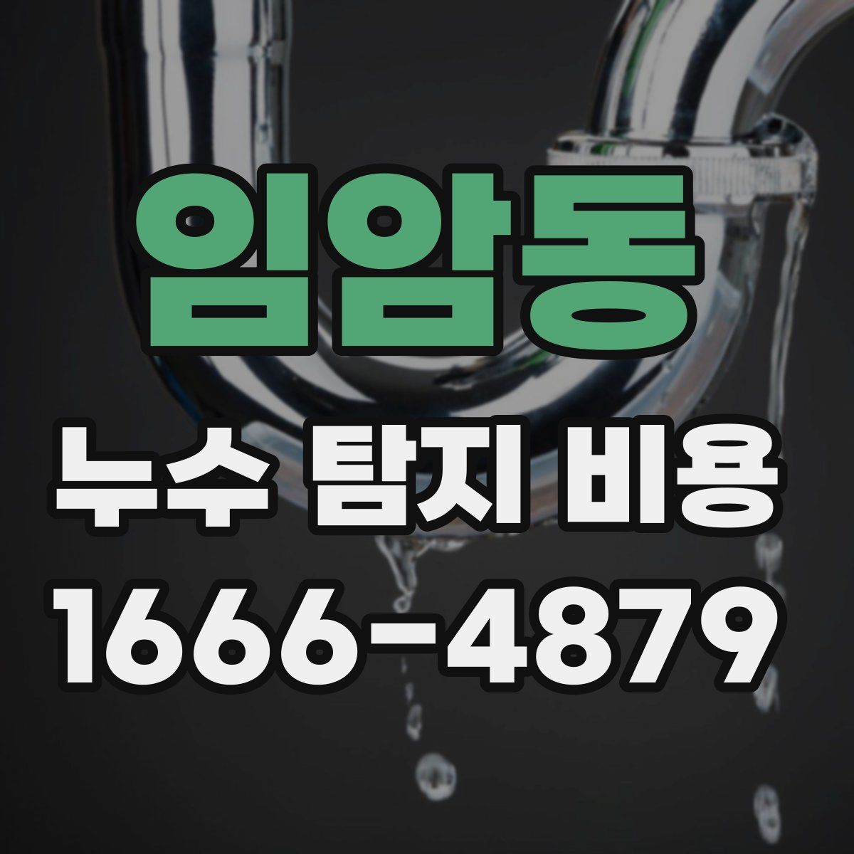 임암동 누수 탐지 비용