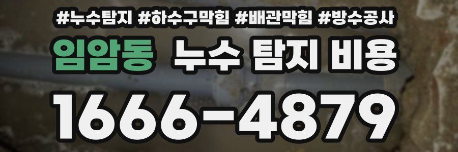 임암동 누수 탐지 비용
