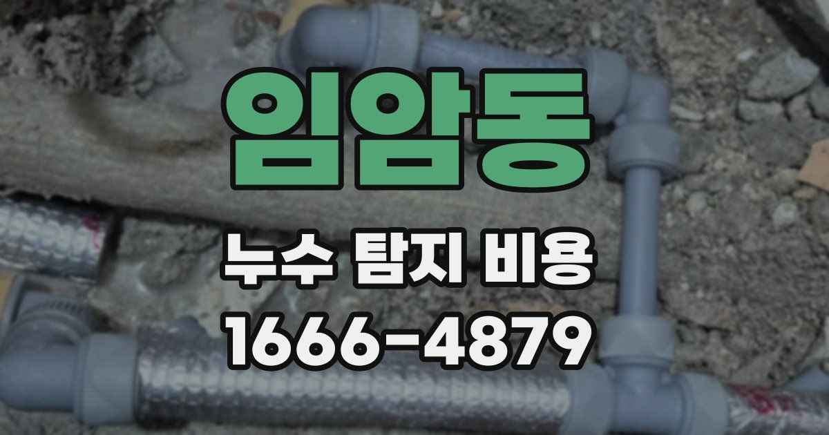 임암동 누수 탐지 비용