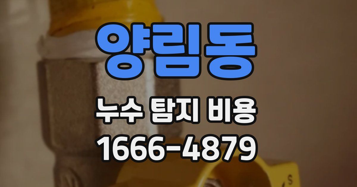 양림동 누수 탐지 비용