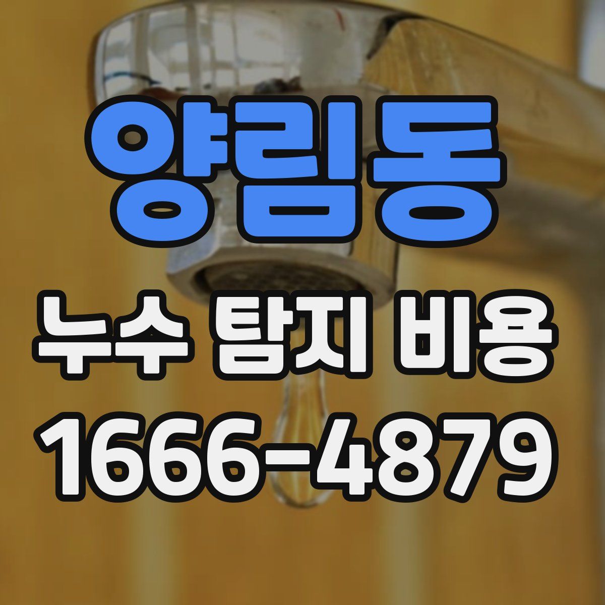 양림동 누수 탐지 비용