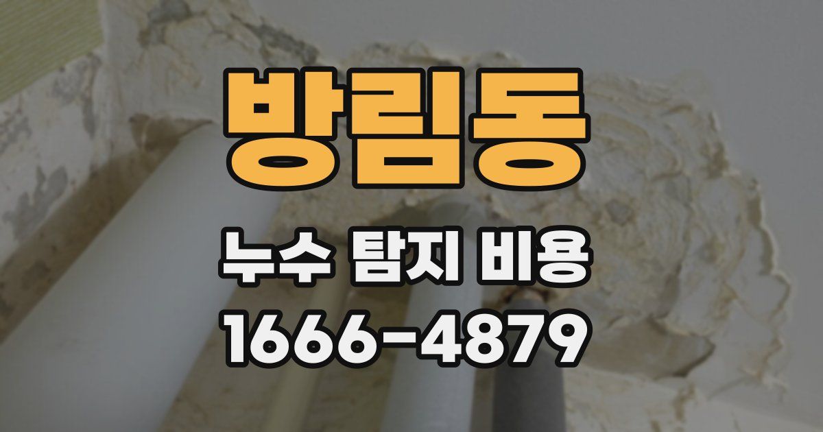 방림동 누수 탐지 비용