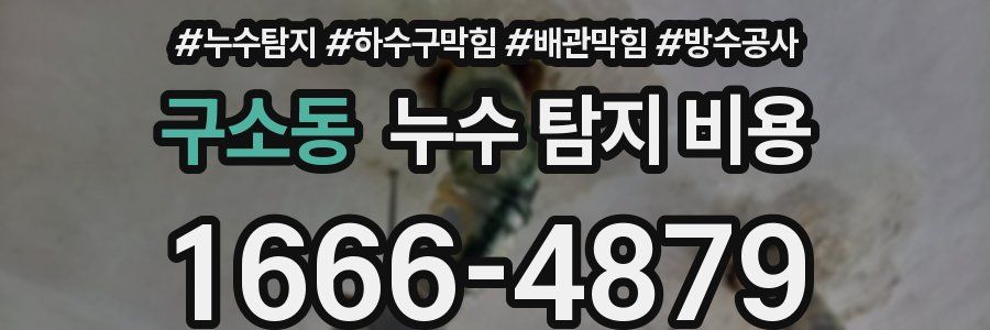 구소동 누수 탐지 비용