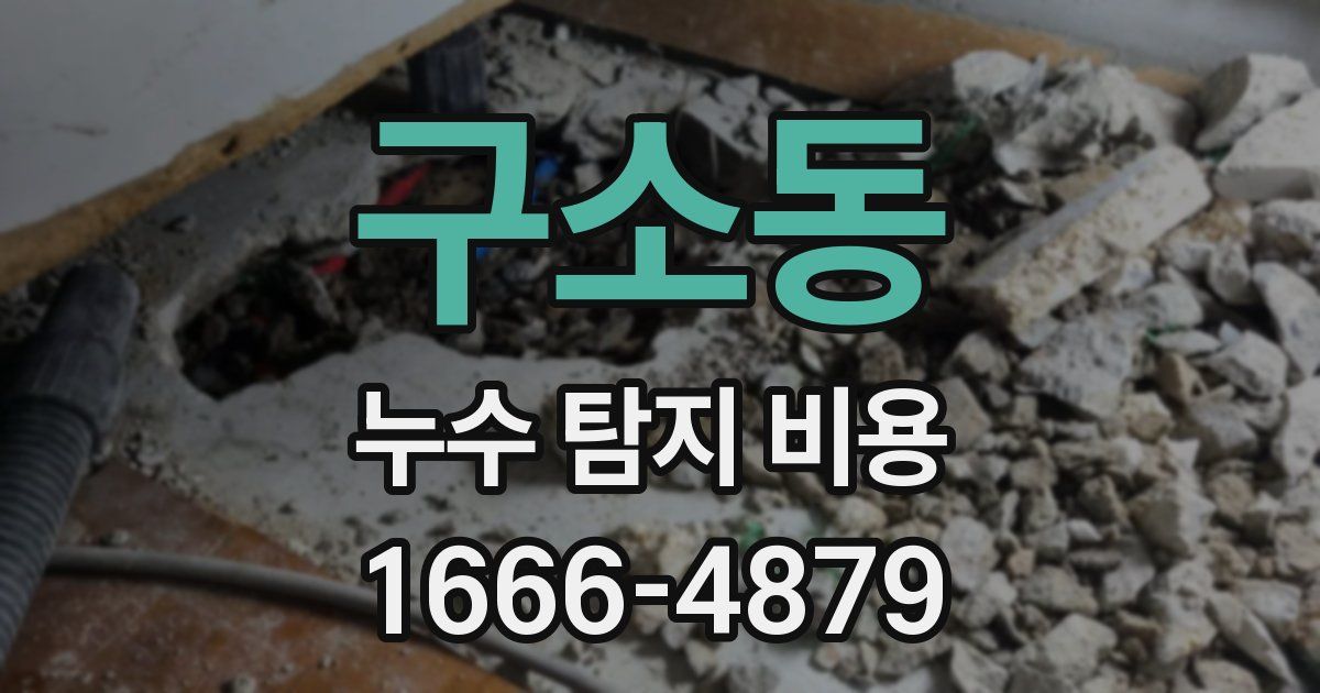 구소동 누수 탐지 비용