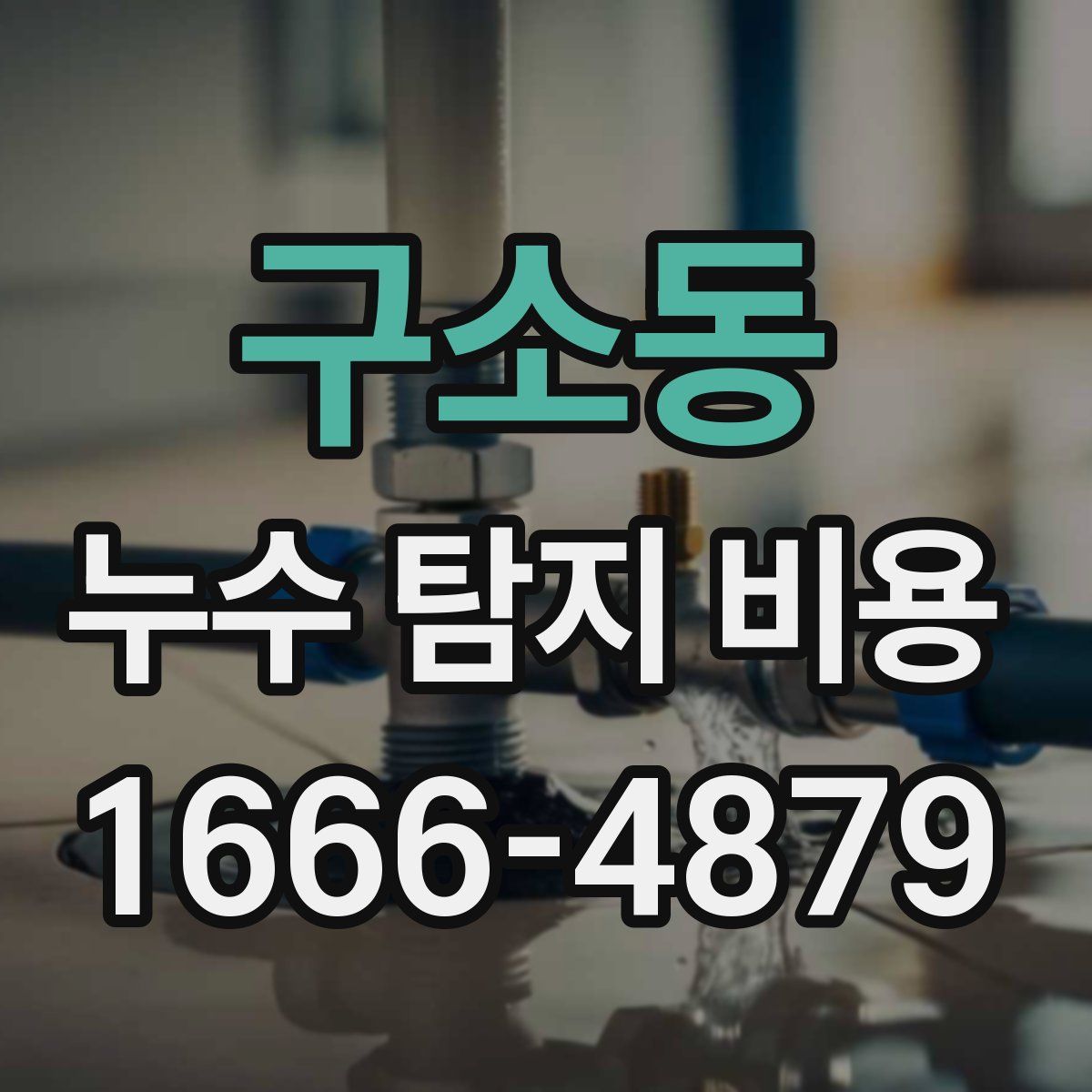 구소동 누수 탐지 비용