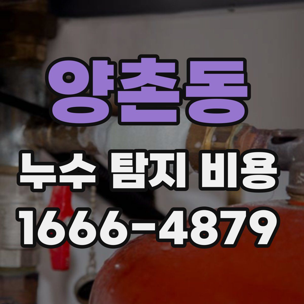 양촌동 누수 탐지 비용