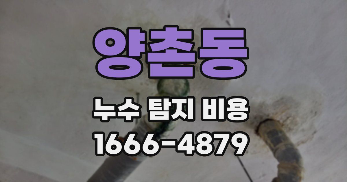 양촌동 누수 탐지 비용