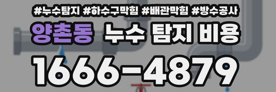 양촌동 누수 탐지 비용