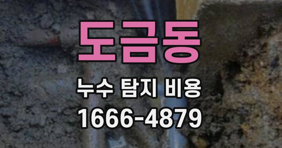 도금동 누수 탐지 비용