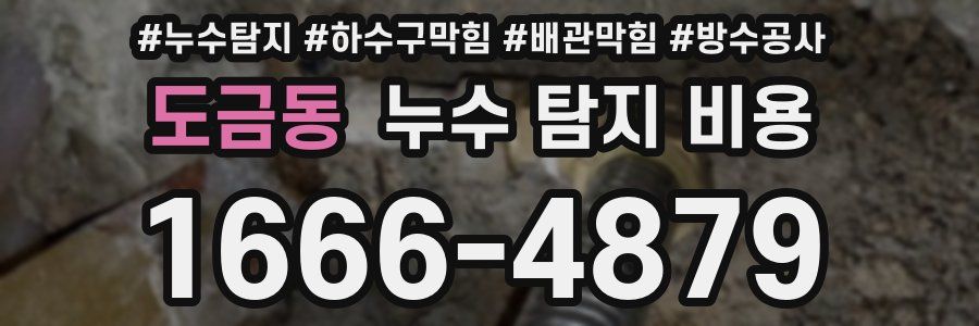 도금동 누수 탐지 비용
