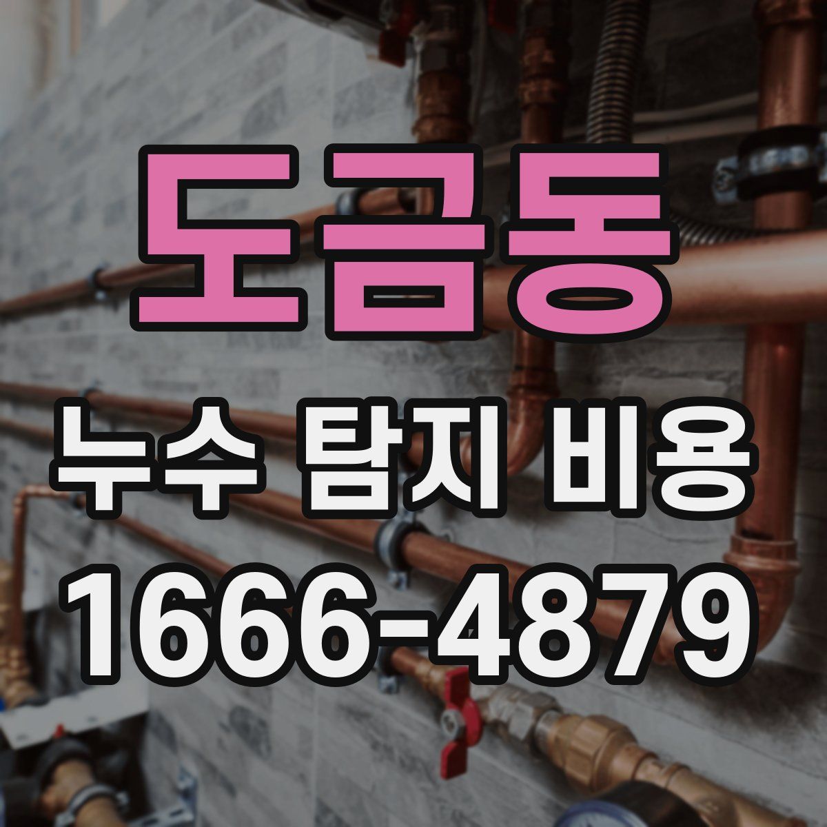 도금동 누수 탐지 비용