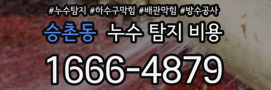 승촌동 누수 탐지 비용