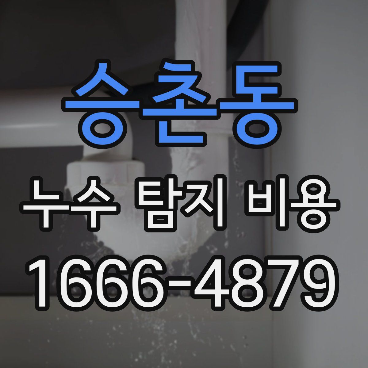 승촌동 누수 탐지 비용