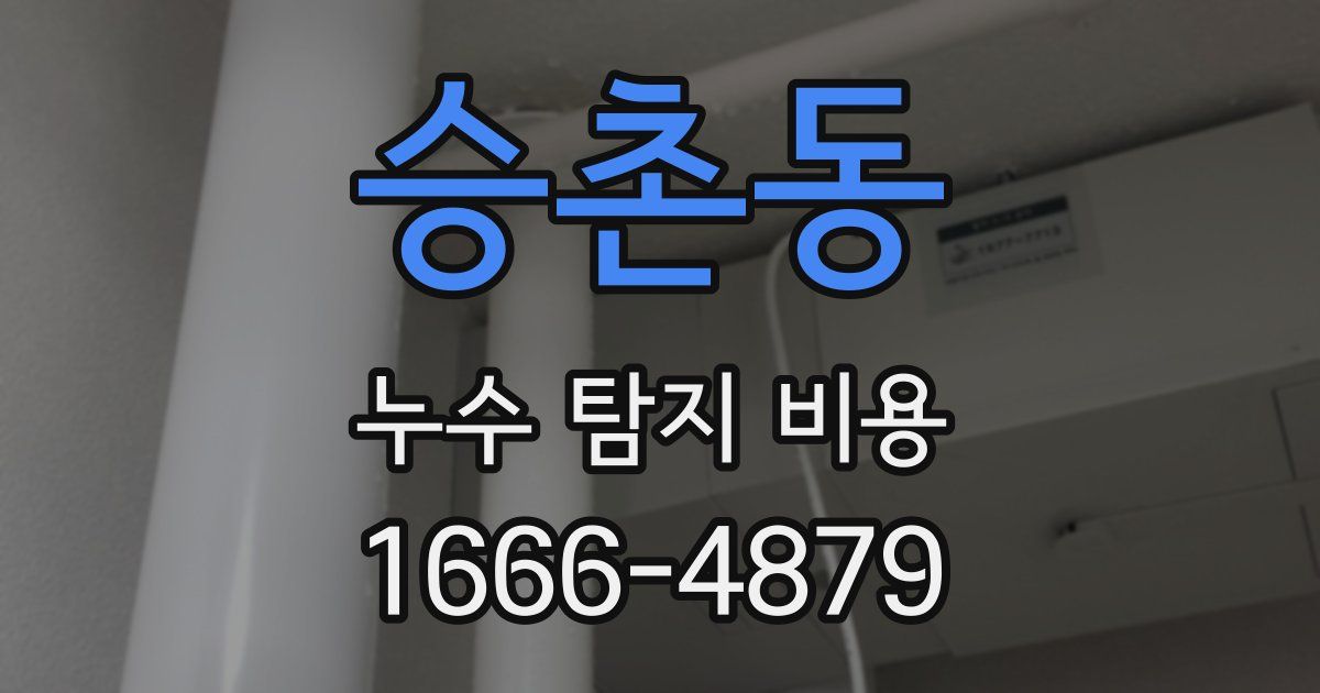 승촌동 누수 탐지 비용