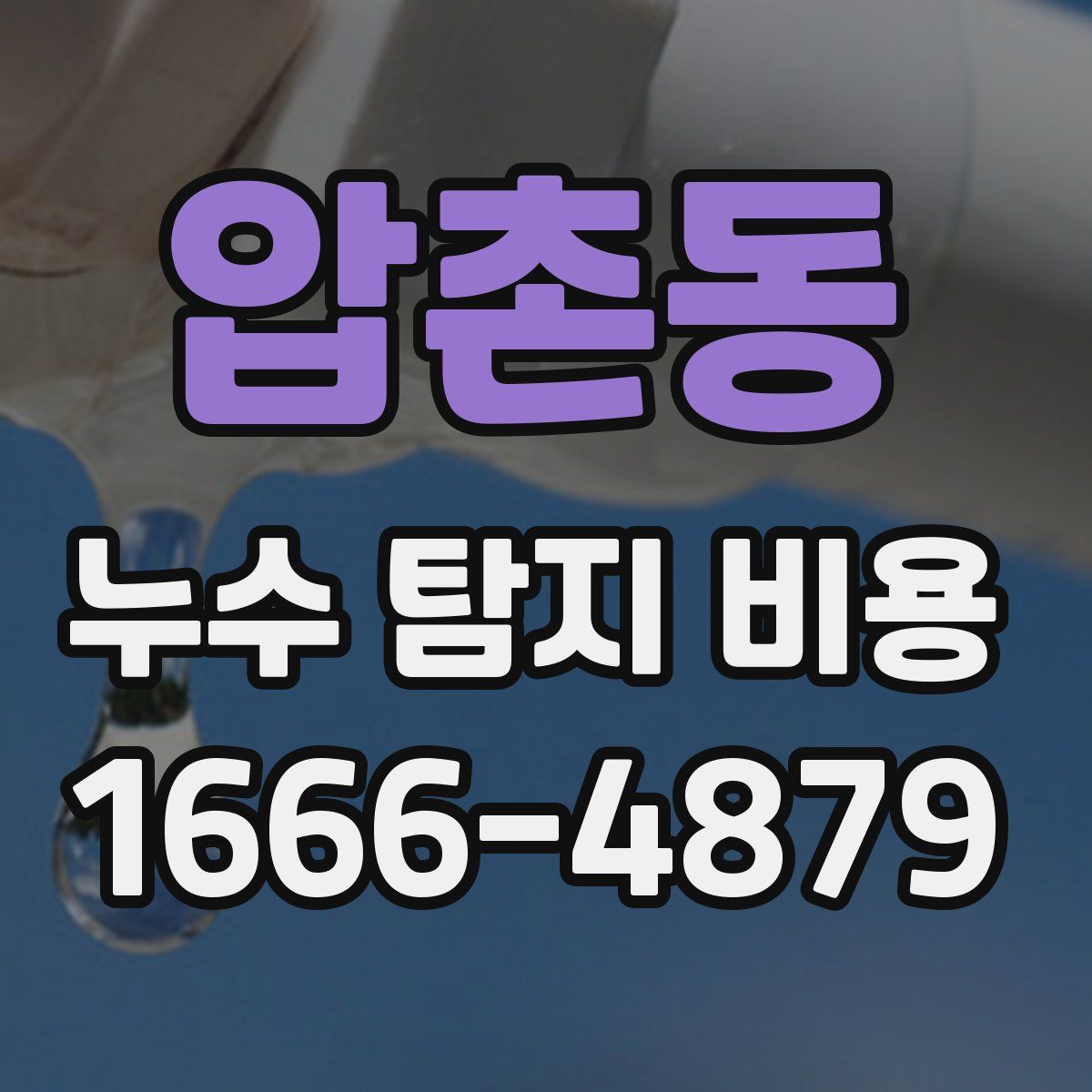 압촌동 누수 탐지 비용