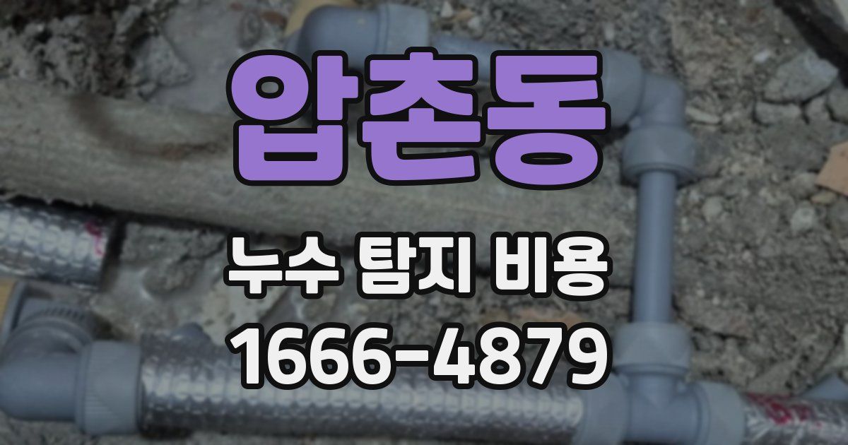 압촌동 누수 탐지 비용