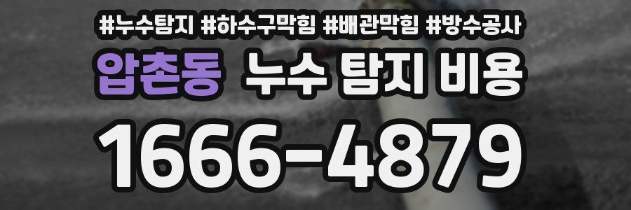 압촌동 누수 탐지 비용