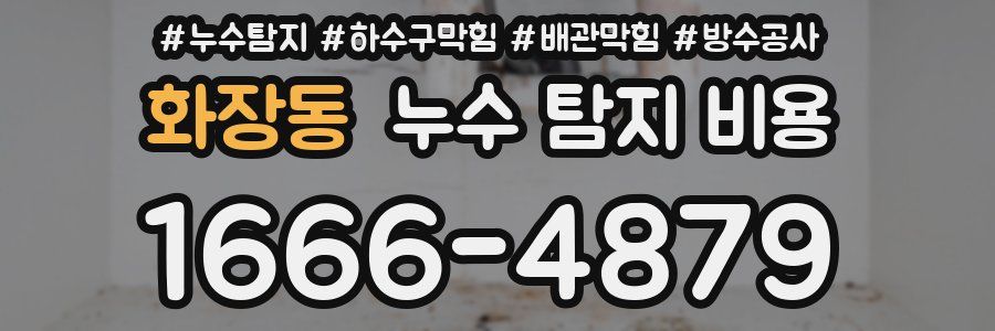 화장동 누수 탐지 비용