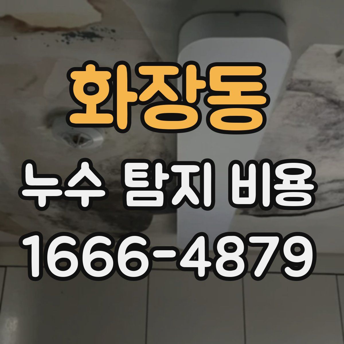 화장동 누수 탐지 비용