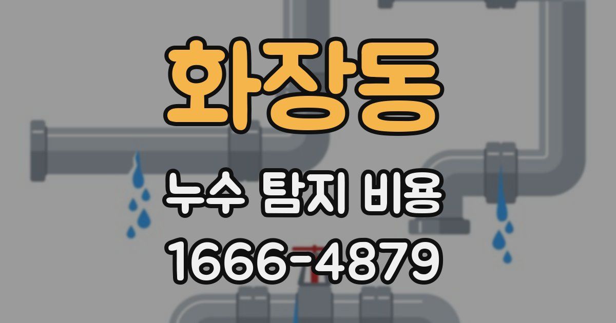 화장동 누수 탐지 비용