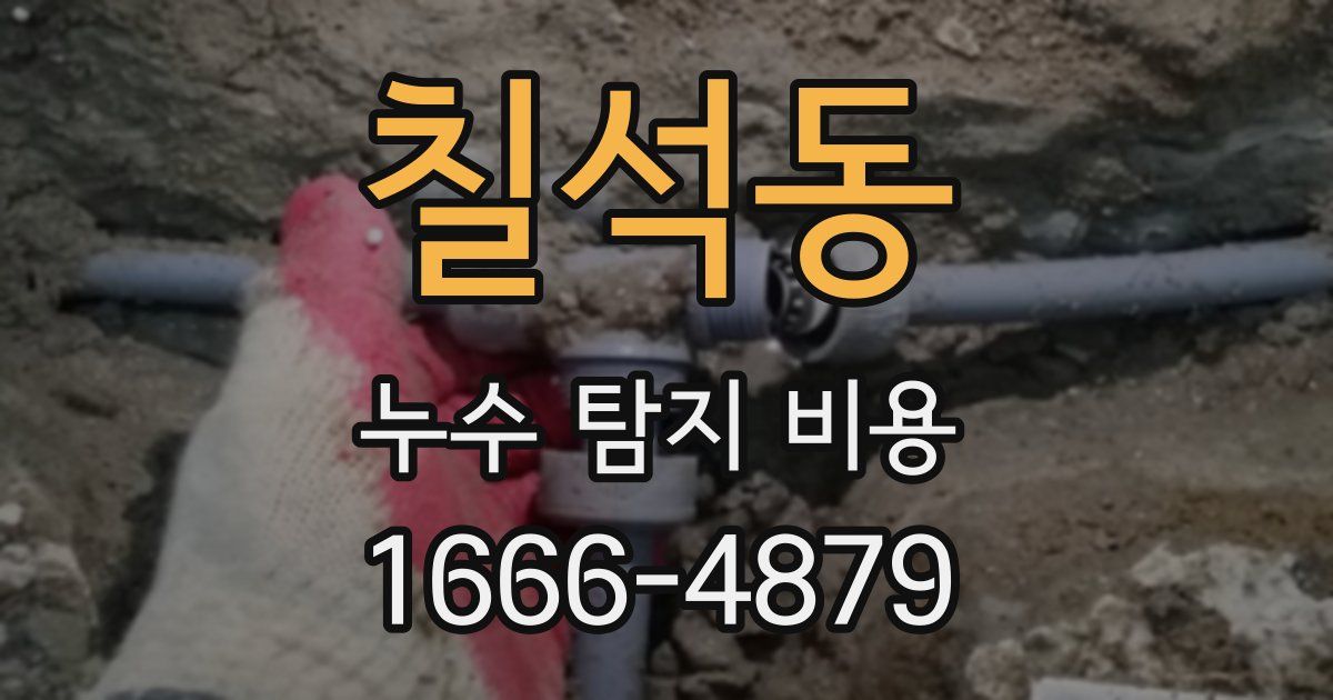 칠석동 누수 탐지 비용