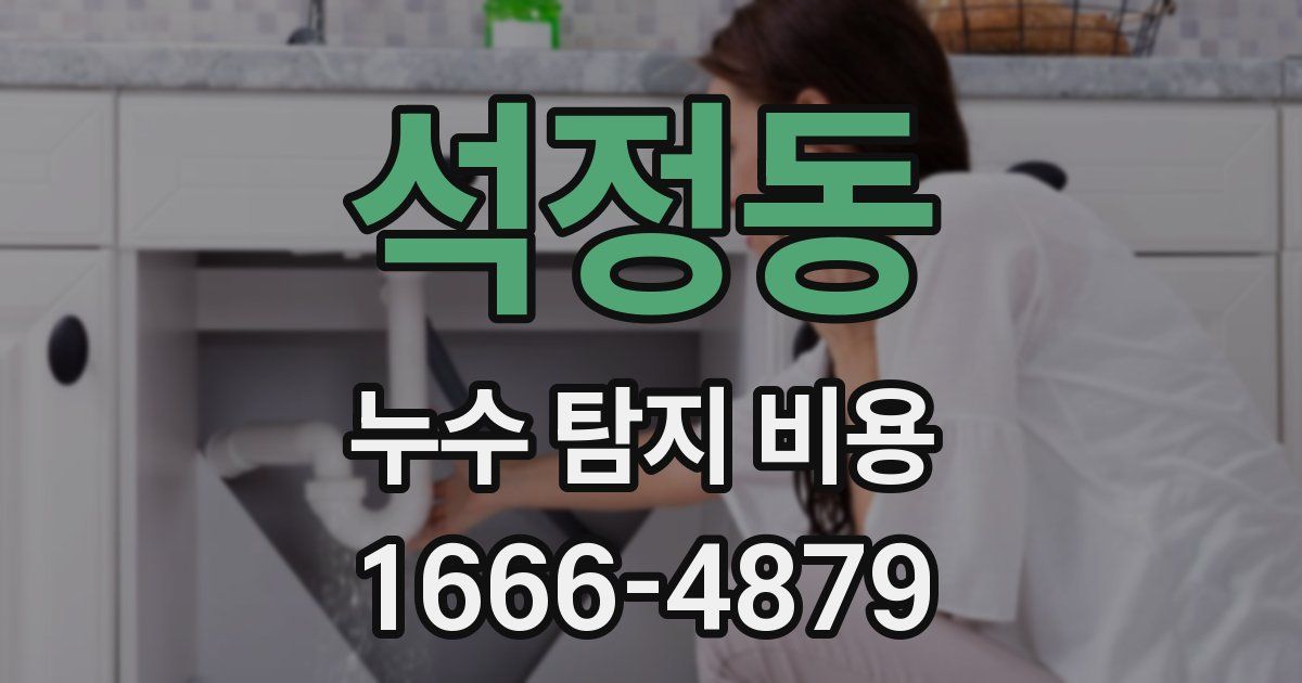 석정동 누수 탐지 비용