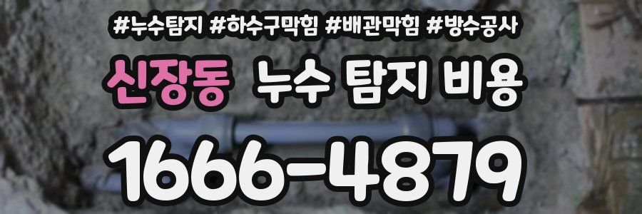 신장동 누수 탐지 비용