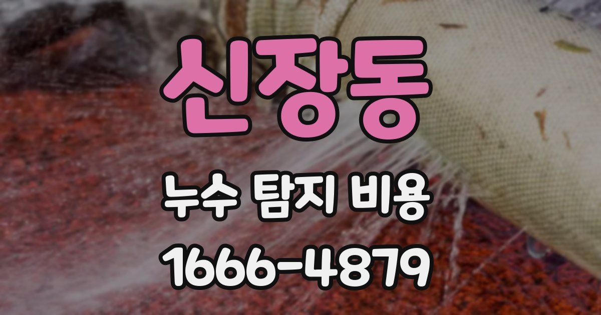신장동 누수 탐지 비용