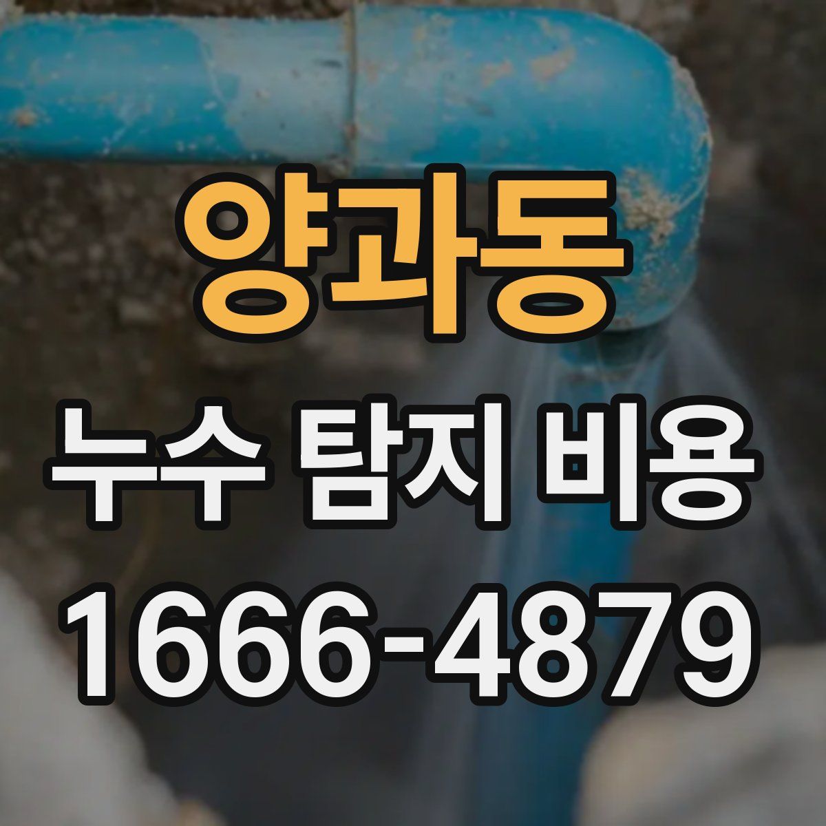 양과동 누수 탐지 비용