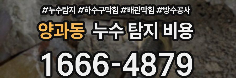양과동 누수 탐지 비용