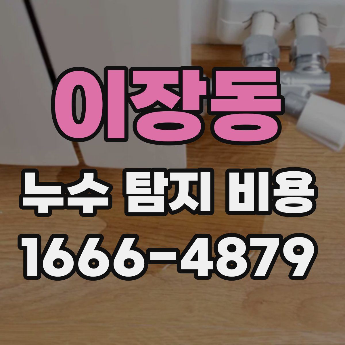 이장동 누수 탐지 비용