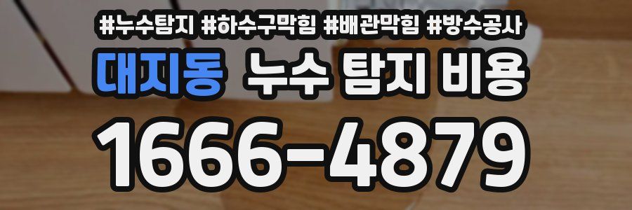 대지동 누수 탐지 비용