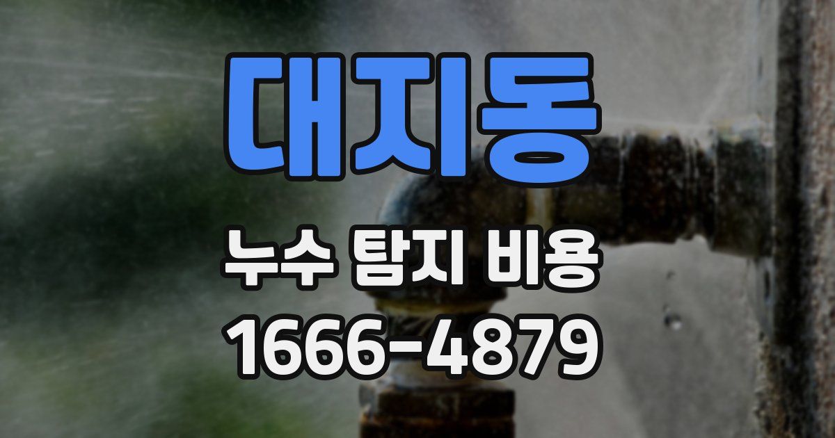 대지동 누수 탐지 비용