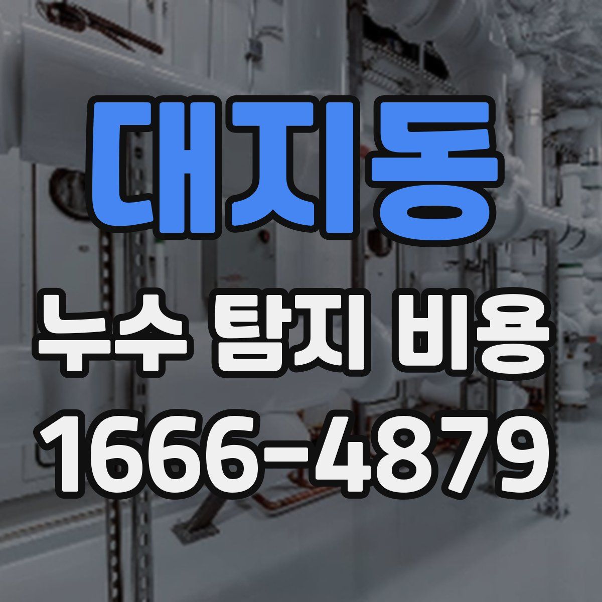 대지동 누수 탐지 비용